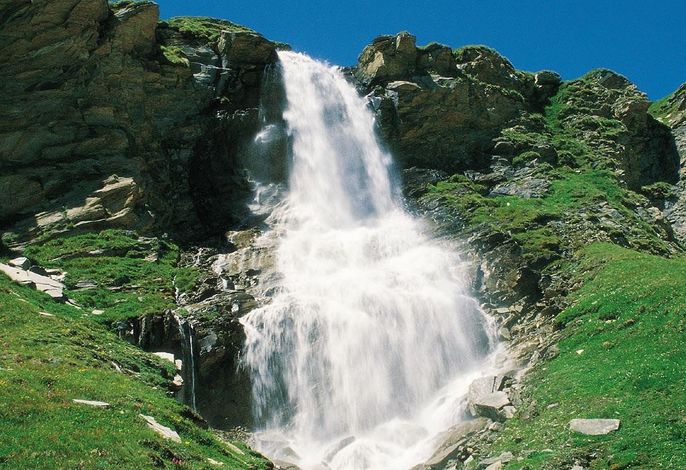 Bild 66