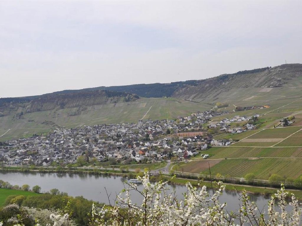Ferienwohnungen Thielen