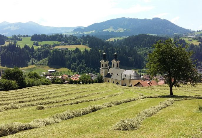 Bild 9