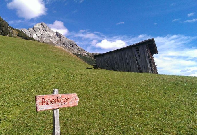 Bild 33