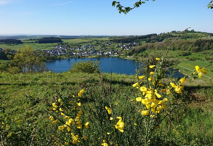 Bild 12