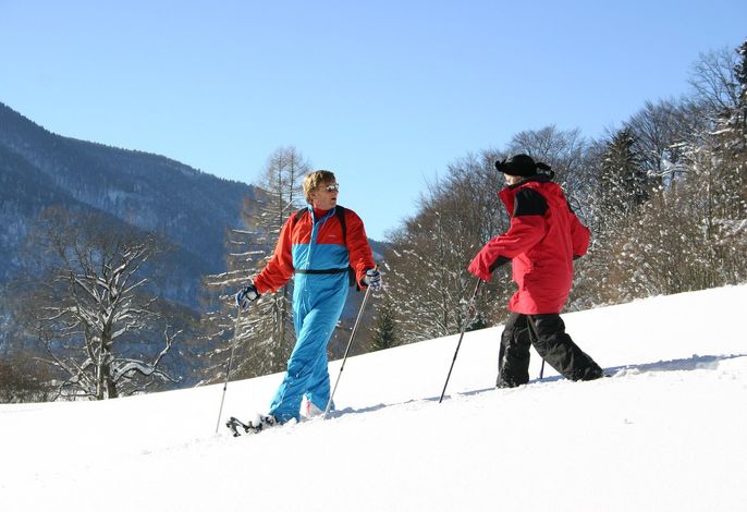 Bild 100