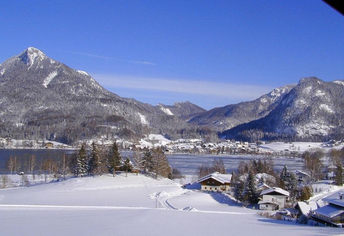 Bild 111