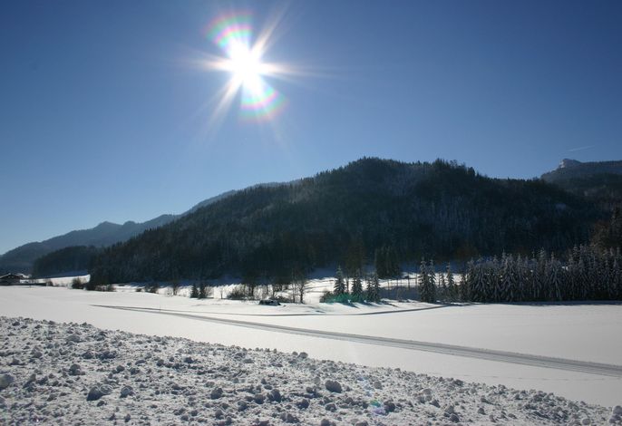 Bild 110
