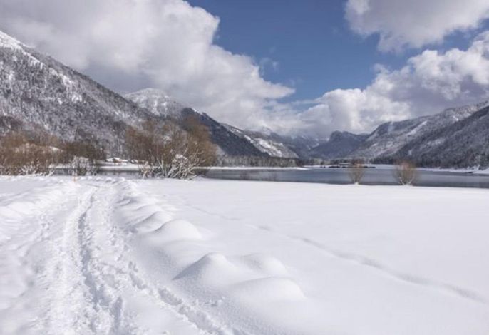 Bild 113