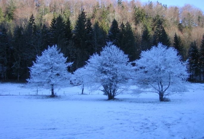 Bild 91