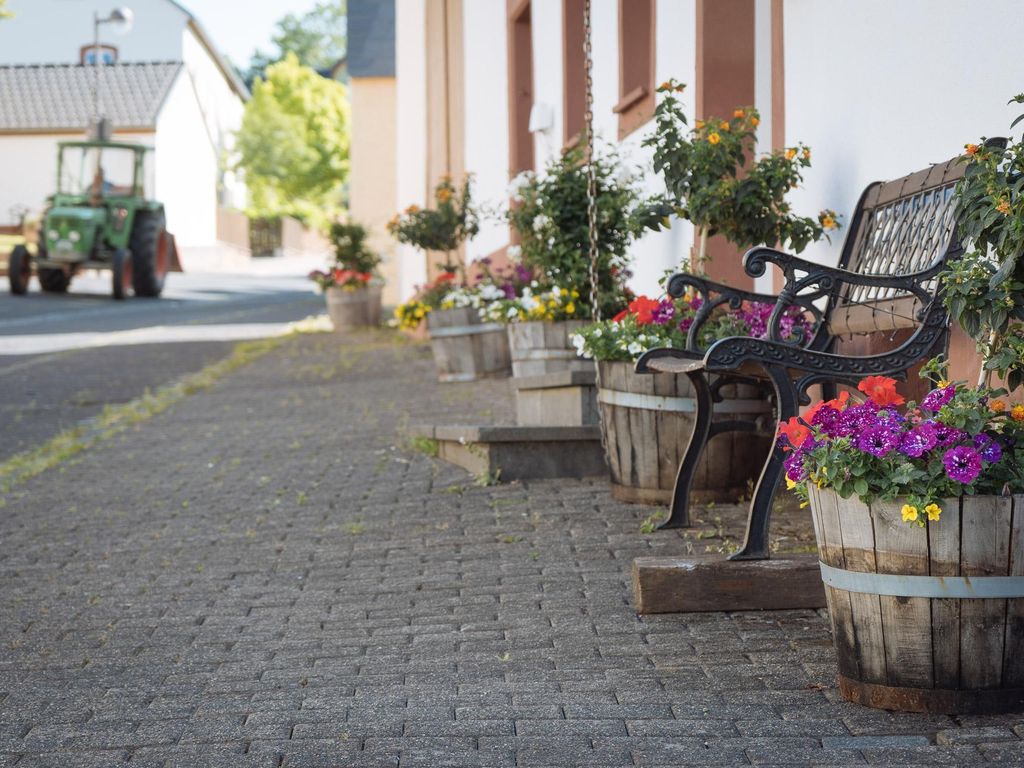 Ferienwohnungen Maijeschhof