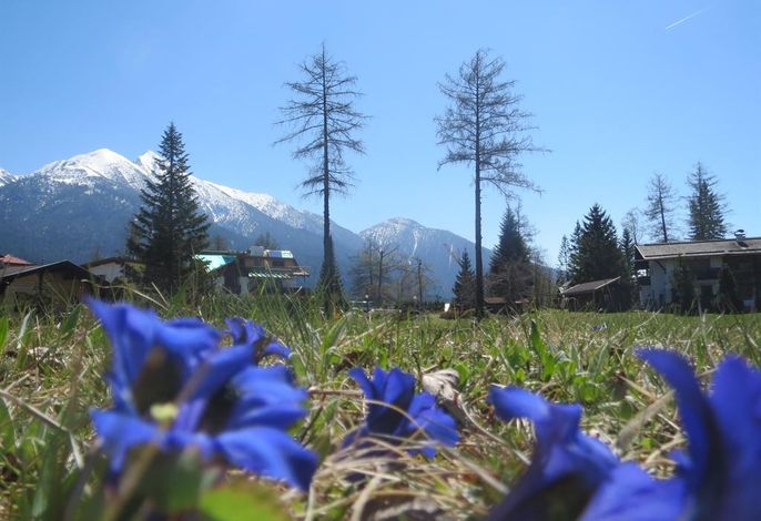 Bild 18