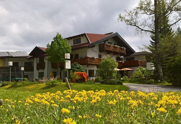 Bild 41