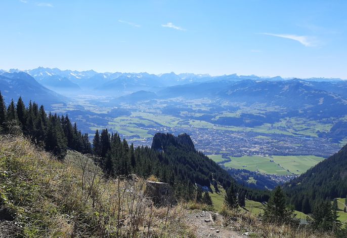 Bild 15