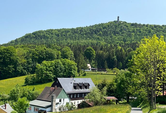 Bild 15
