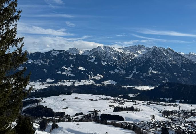 Bild 15