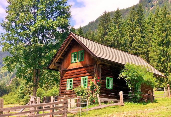 Bild 9
