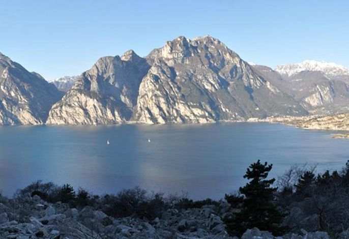 Bild 15