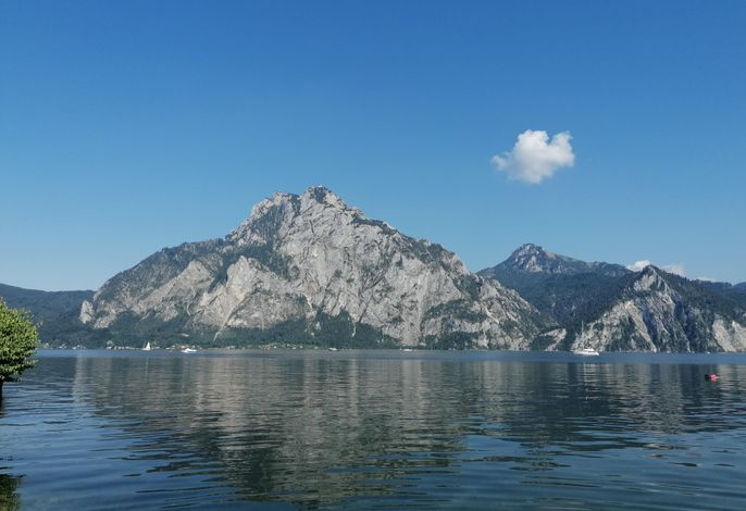 Bild 15
