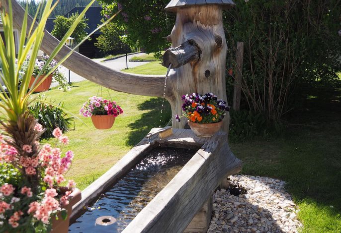 Bild 16