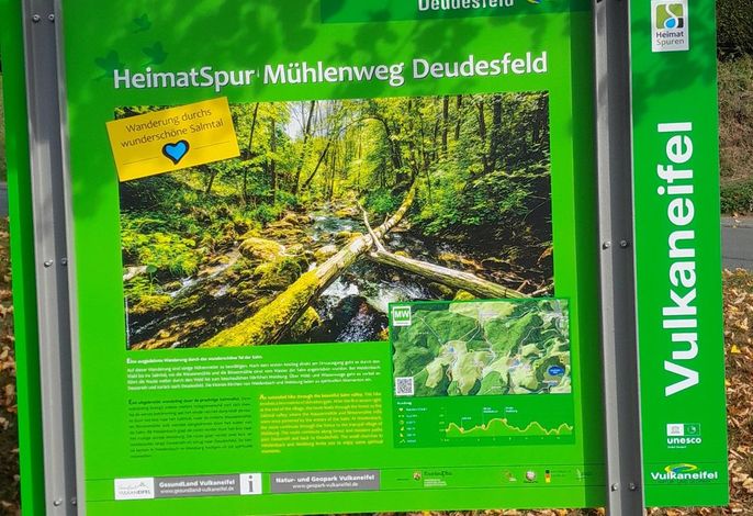 Bild 33