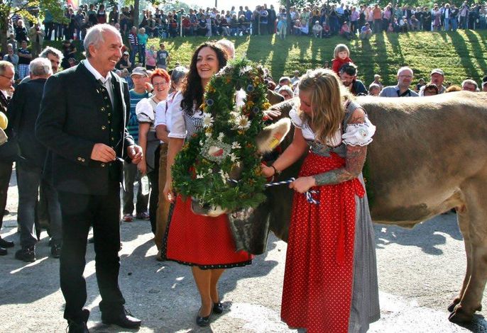 Bild 21
