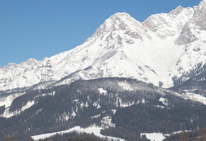 Bild 62