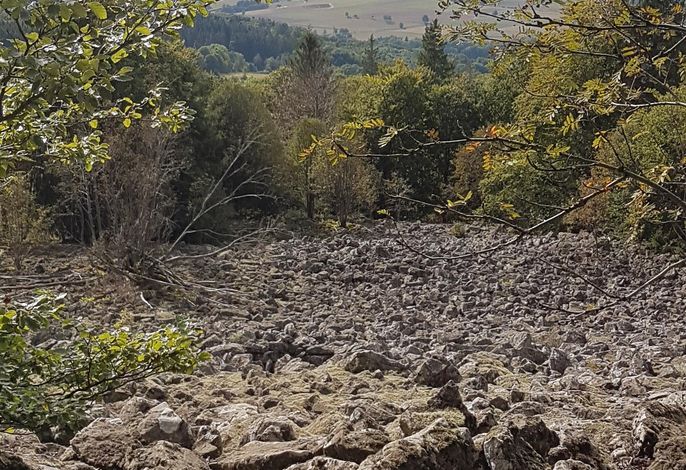 Bild 16