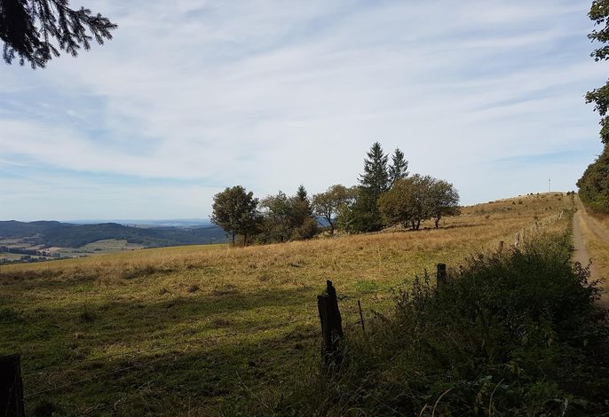 Bild 14