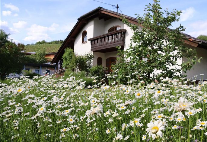 Hauptbild