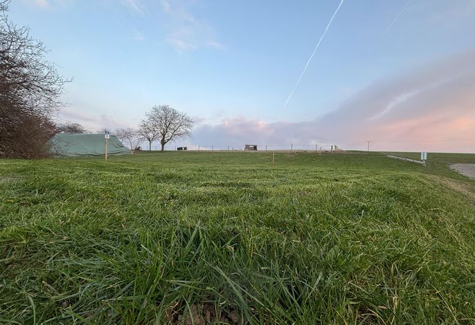 Ferienwohnung Streamatze auf Whiskey´s Farm