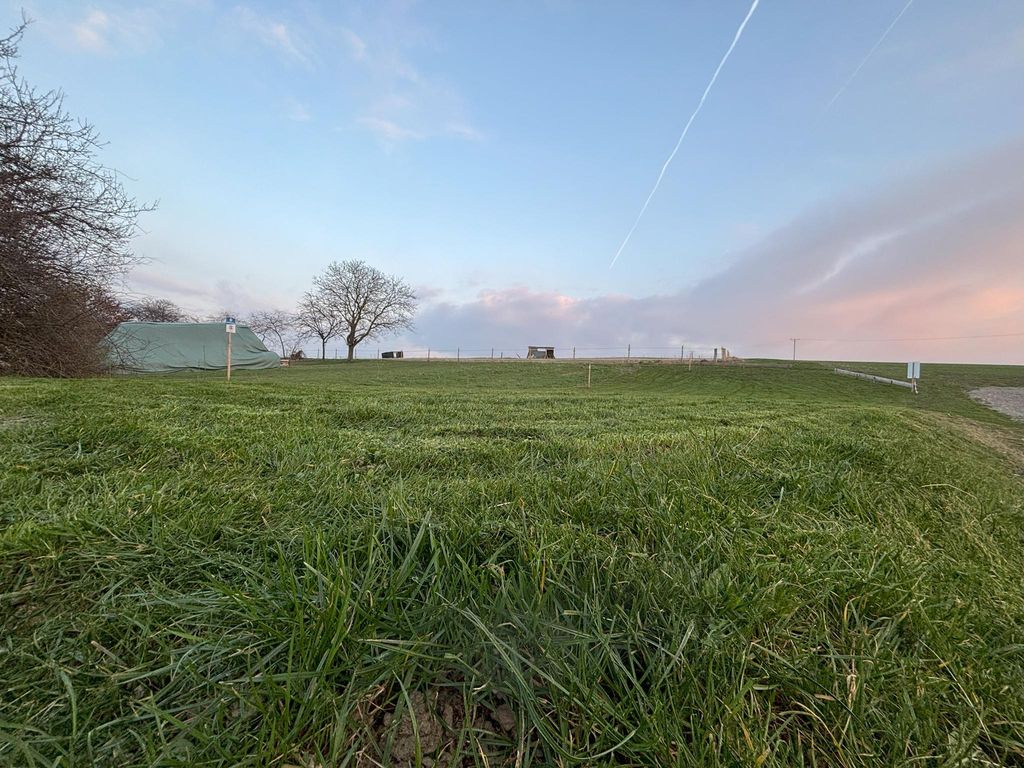 Ferienwohnung Streamatze auf Whiskey´s Farm
