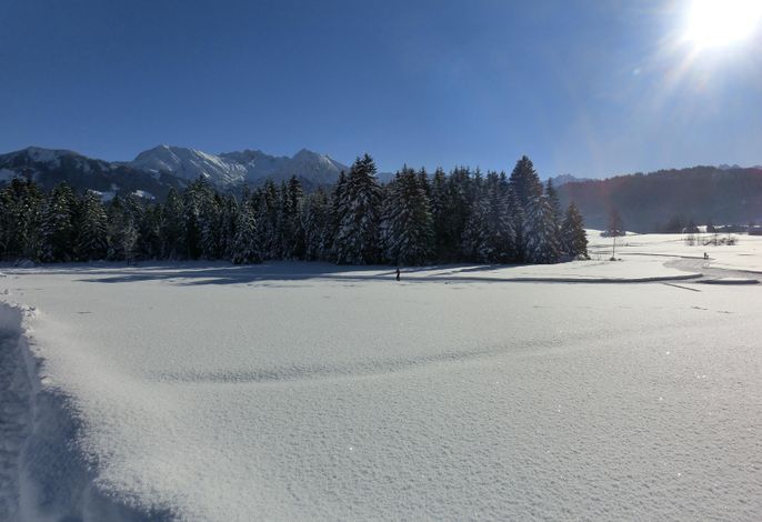 Bild 14