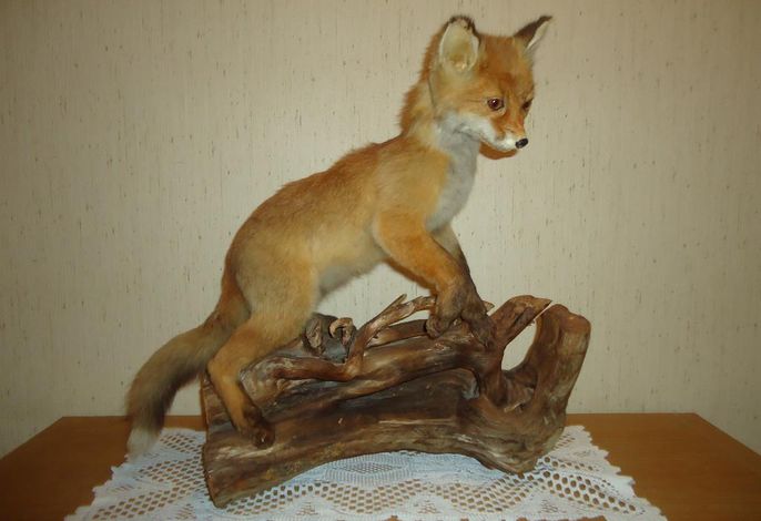 Bild 12