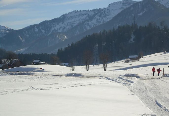 Bild 21