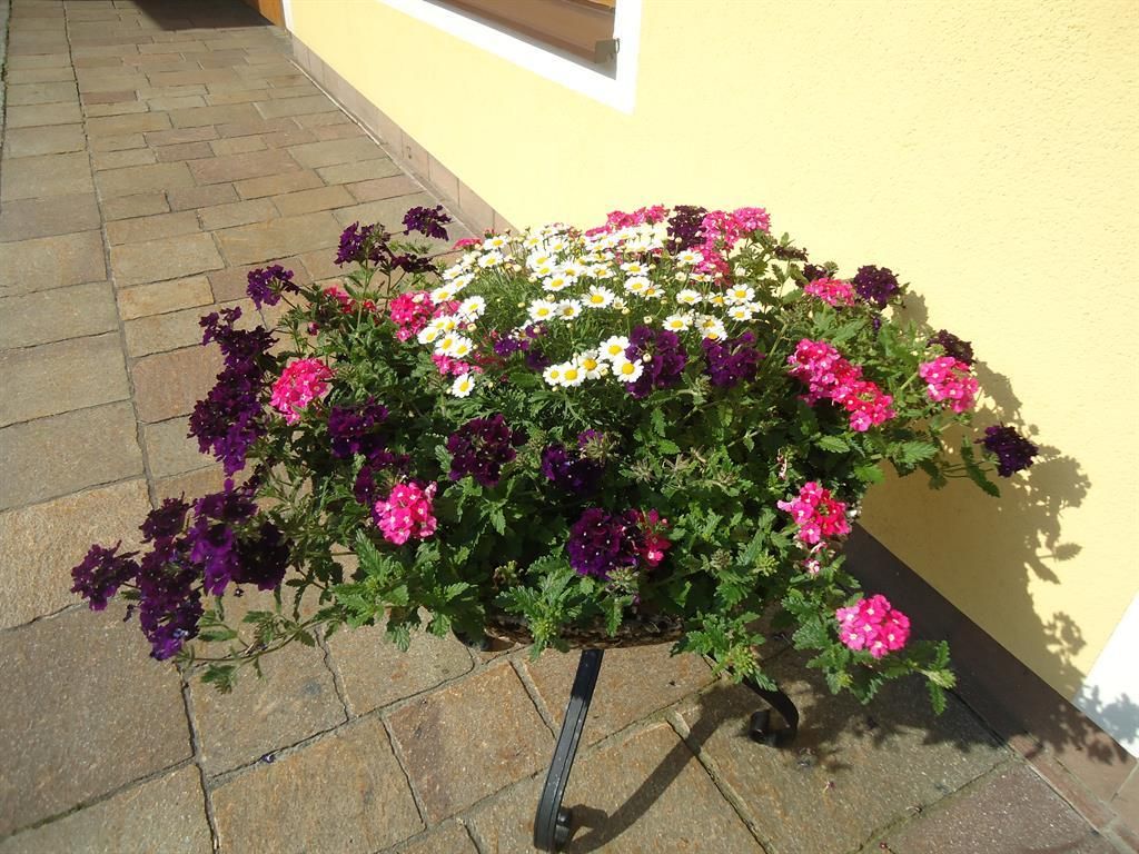 Pension Wald