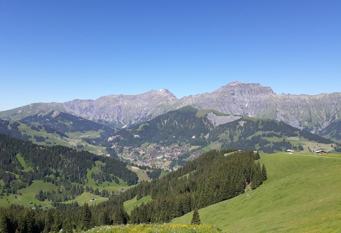 Bild 16
