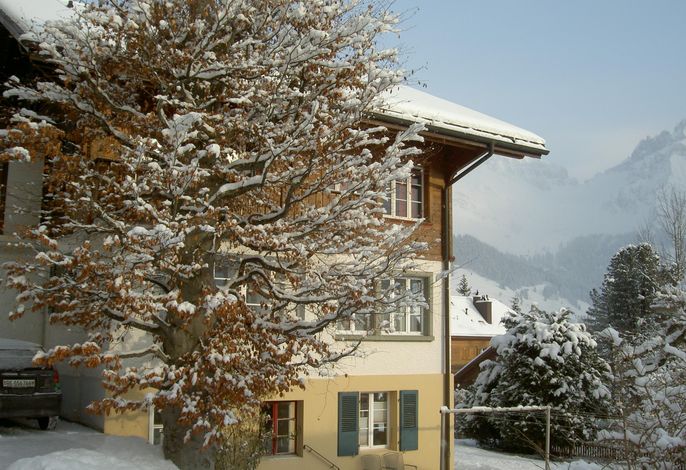 Bild 7