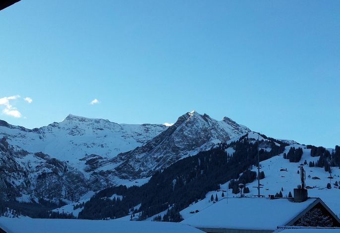 Bild 15