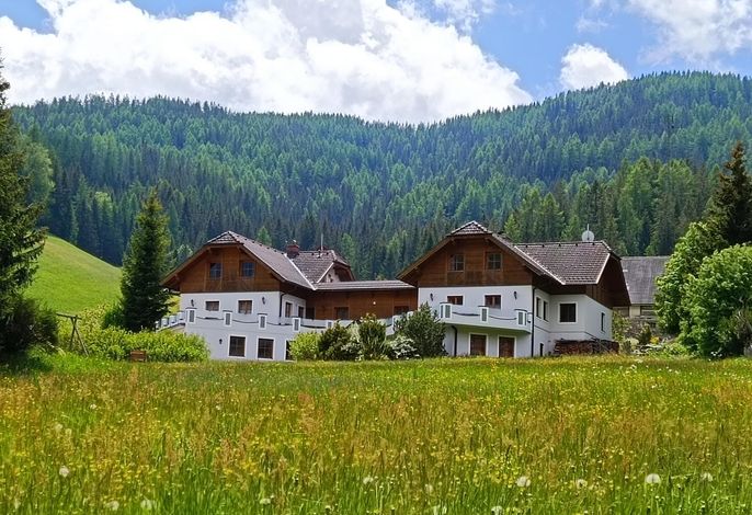 Alpenblick 5
