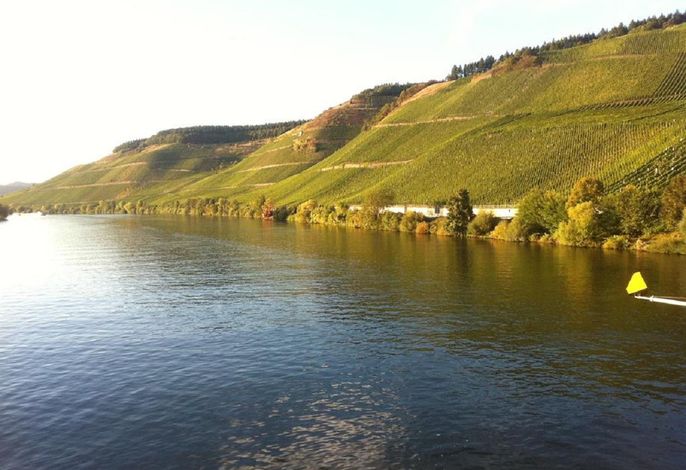 Bild 17