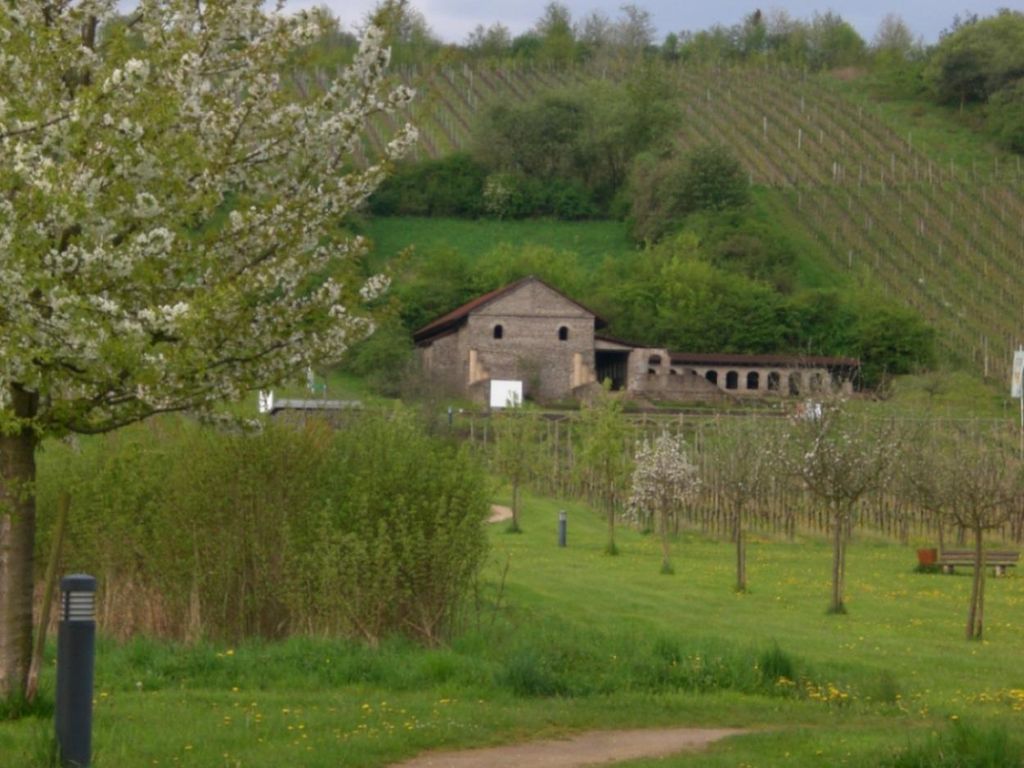 Gästehaus-Gasthof "Wein im Turm"