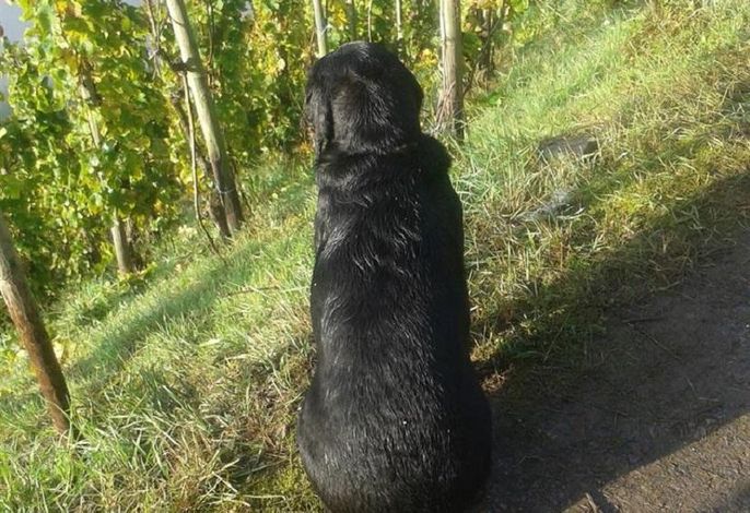 Bild 12