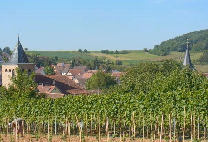 Bild 6