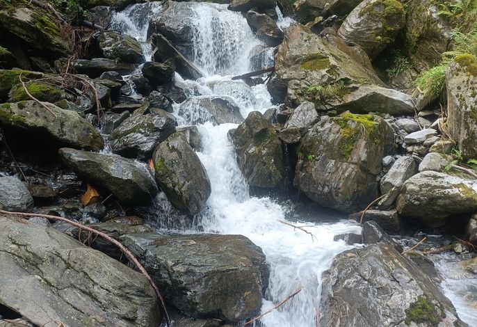 Bild 18