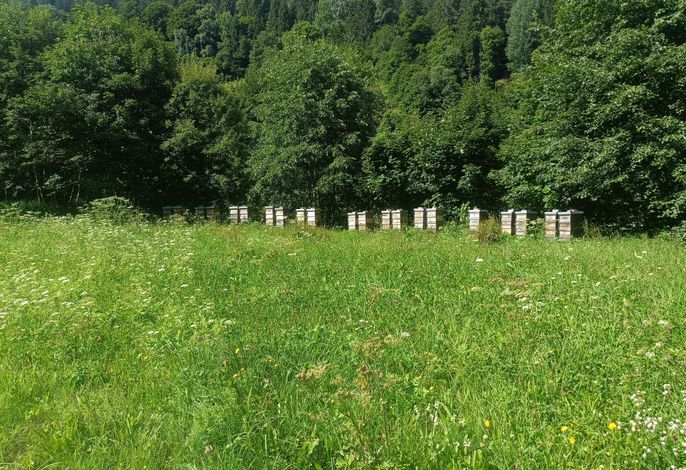 Bild 20