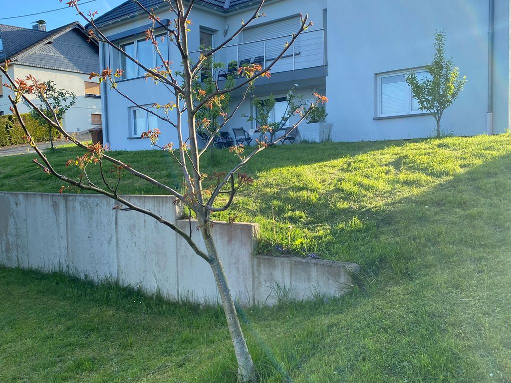 Ferienwohnung Mittelweg