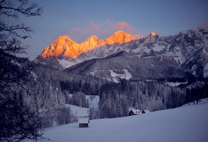 Bild 51
