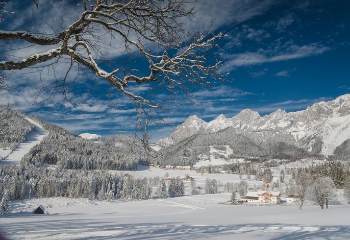 Bild 54