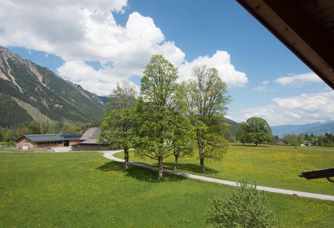 Bild 47