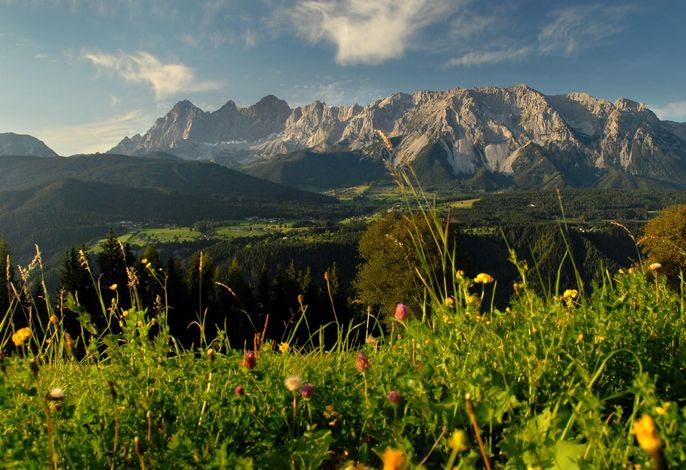 Bild 62