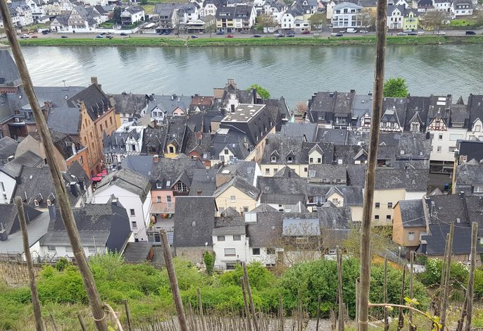 Fewo Moselschwalbe 3. OG