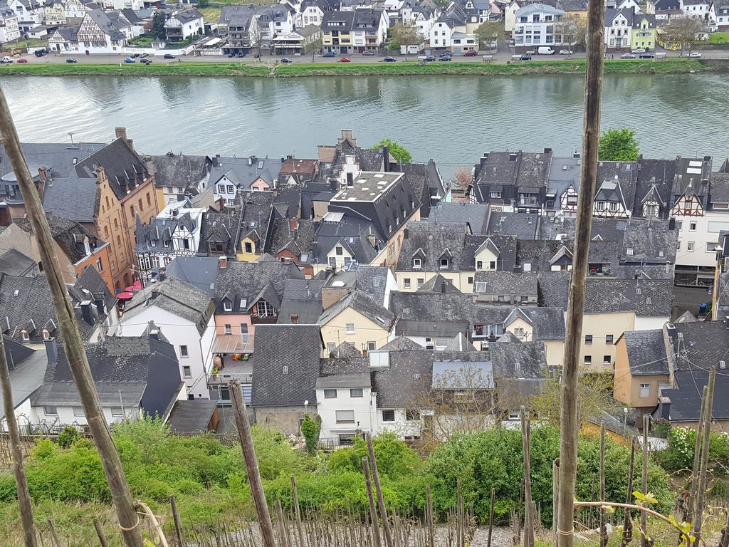 Ferienwohnung Moselschwalbe