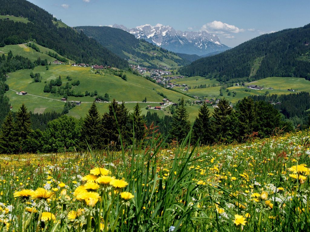 Appartement Schilcher